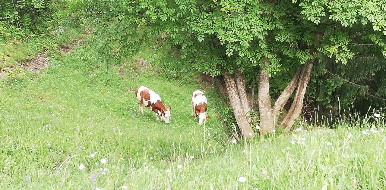 Agriturismo Ferienhof Gschloier (Adults Only) Laion Ngoại thất bức ảnh