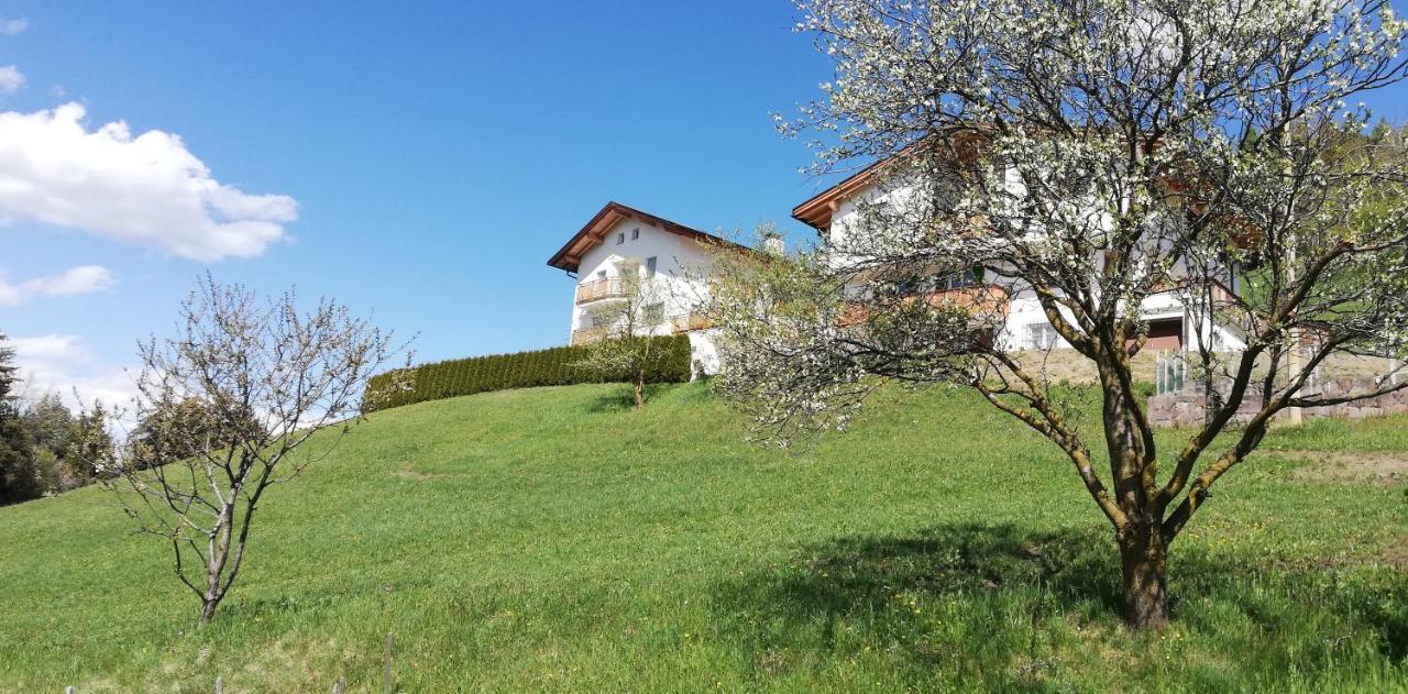 Agriturismo Ferienhof Gschloier (Adults Only) Laion Ngoại thất bức ảnh